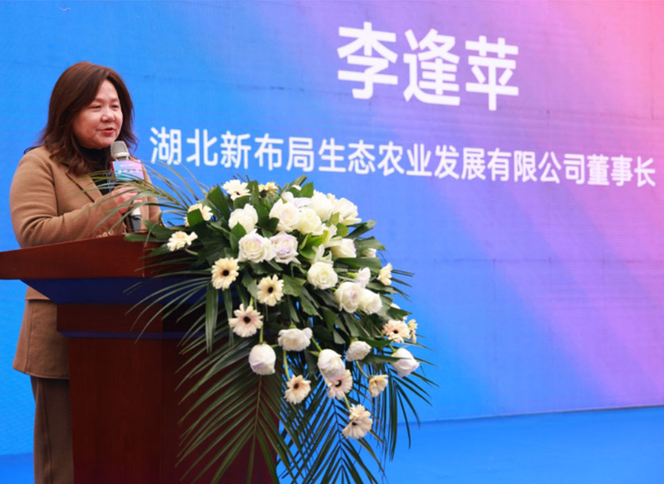20241125093521_10243 银河优越会(中国区)官方网站-WeChat百科