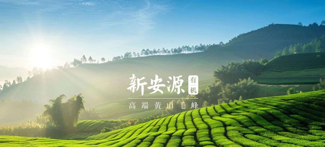 银河优越会(中国区)官方网站-WeChat百科