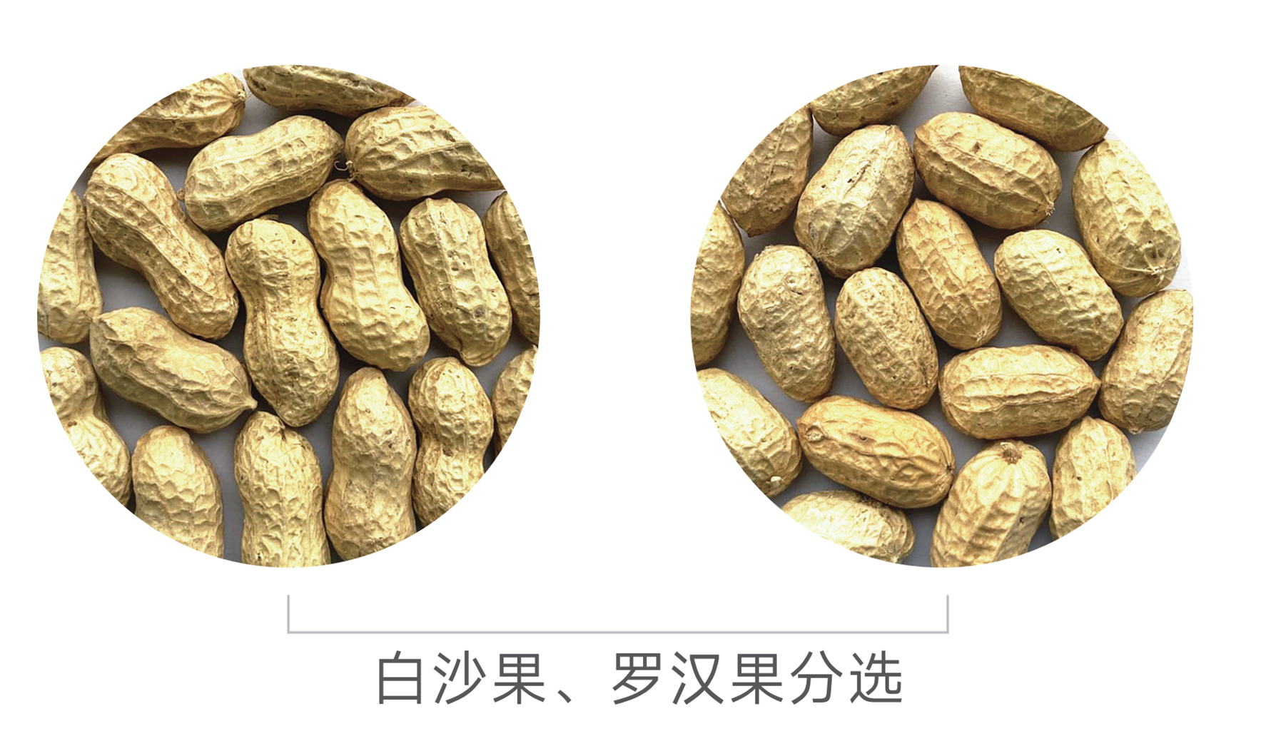20250708162245_31693 银河优越会(中国区)官方网站-WeChat百科