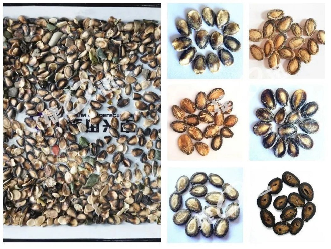 银河优越会(中国区)官方网站-WeChat百科